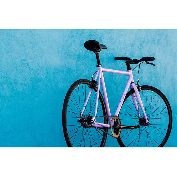 Bicicleta fixie 4130 Chromoly Perplexing - Fijo y libre 12