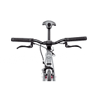 Bicicleta fixie Core line Pigeon - Fijo y libre 4