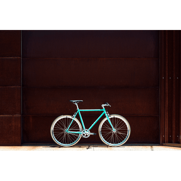 Bicicleta fixie Core line Delfin - Fijo y libre 10