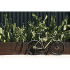 Bicicleta gravel 6061 All Road Matte Olive - 11 velocidades 18
