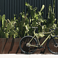 Bicicleta gravel 6061 All Road Matte Olive - 11 velocidades - Miniatura 18