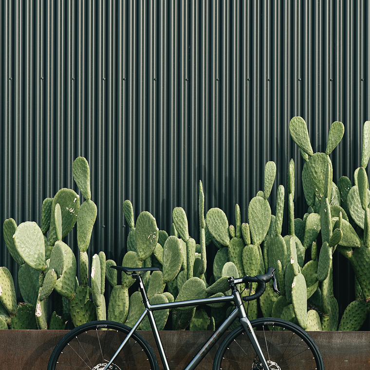 Bicicleta Endurance Undefeated Graphite - 11 velocidades 22