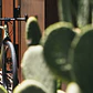 Bicicleta gravel 6061 All Road Matte Olive - 11 velocidades - Miniatura 17