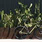 Bicicleta gravel 6061 All Road Matte Olive - 11 velocidades - Miniatura 18