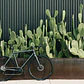 Bicicleta Endurance Undefeated Graphite - 11 velocidades - Miniatura 20