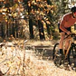 Bicicleta gravel 6061 All Road Dune Tan - 11 velocidades - Miniatura 16