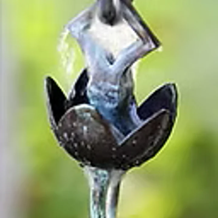 Aged Lotus Cups 1