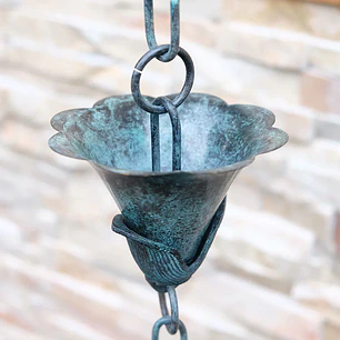 Aged Royal Lotus Cups