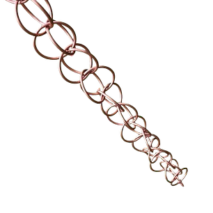 Double Loop Links