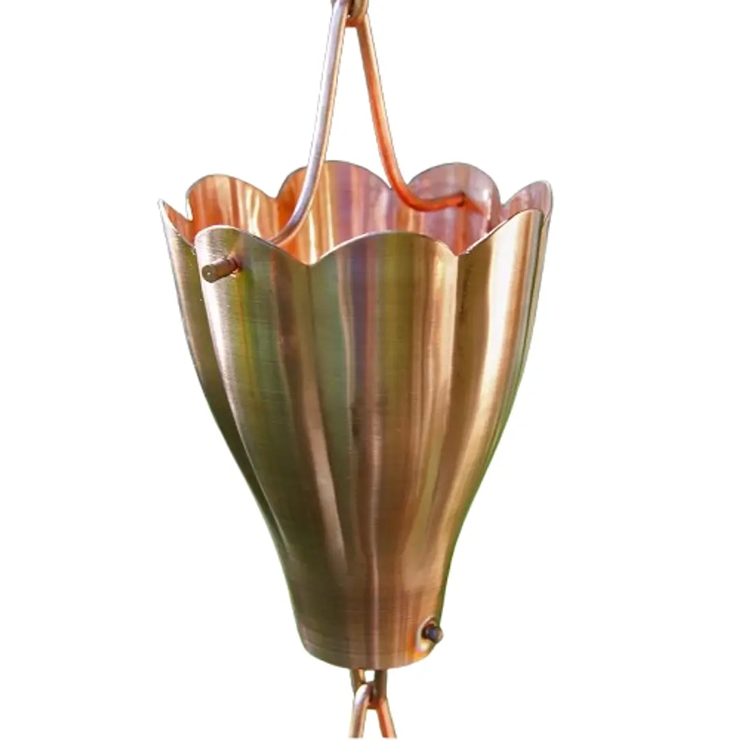 Large Scallop Cups 2