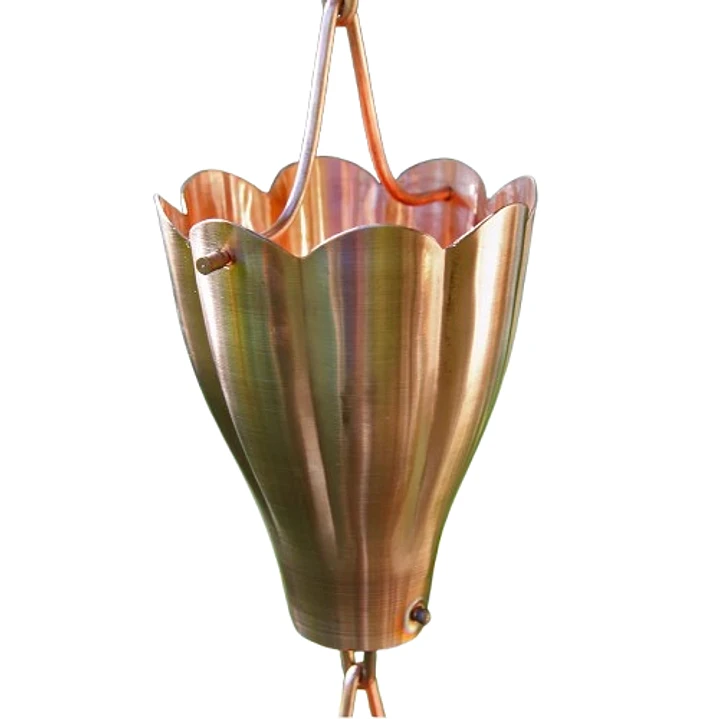 Large Scallop Cups 2