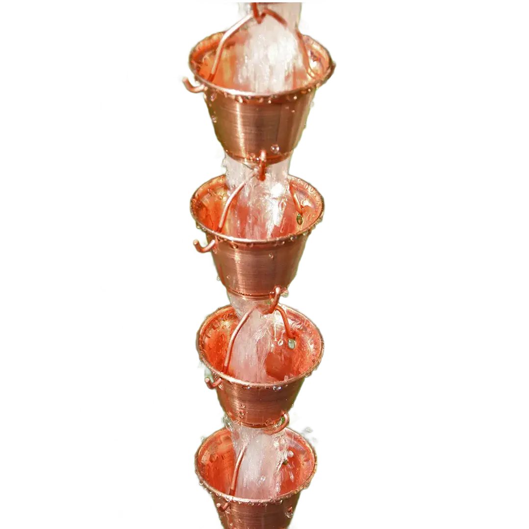 Shizuka Cups 3137 1