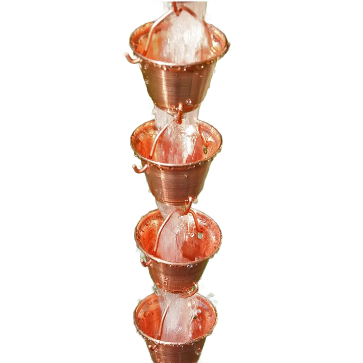 Shizuka Cups 3137 1