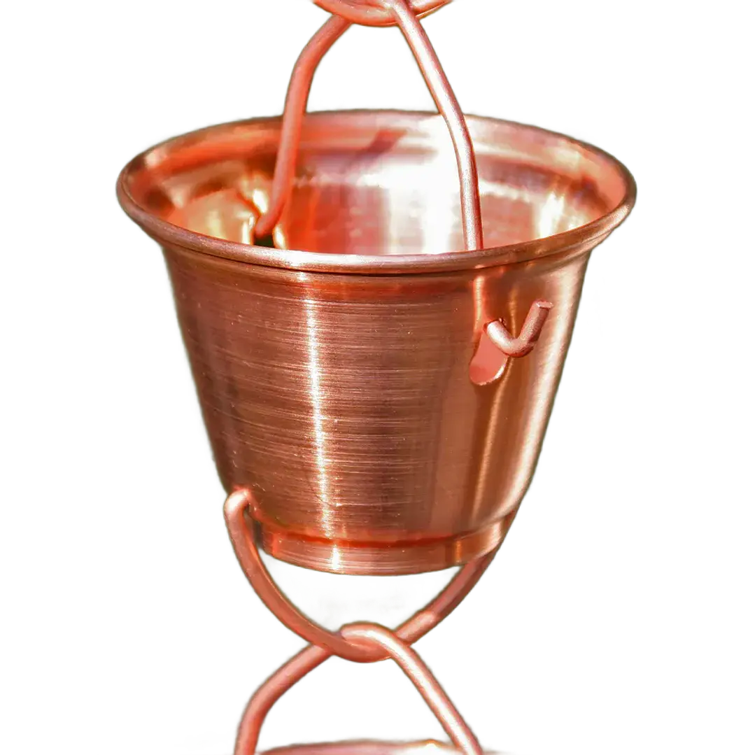 Shizuka Cups 3137 2