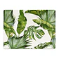 Set 8 Individuales Plantas Rectangular - Miniatura 2