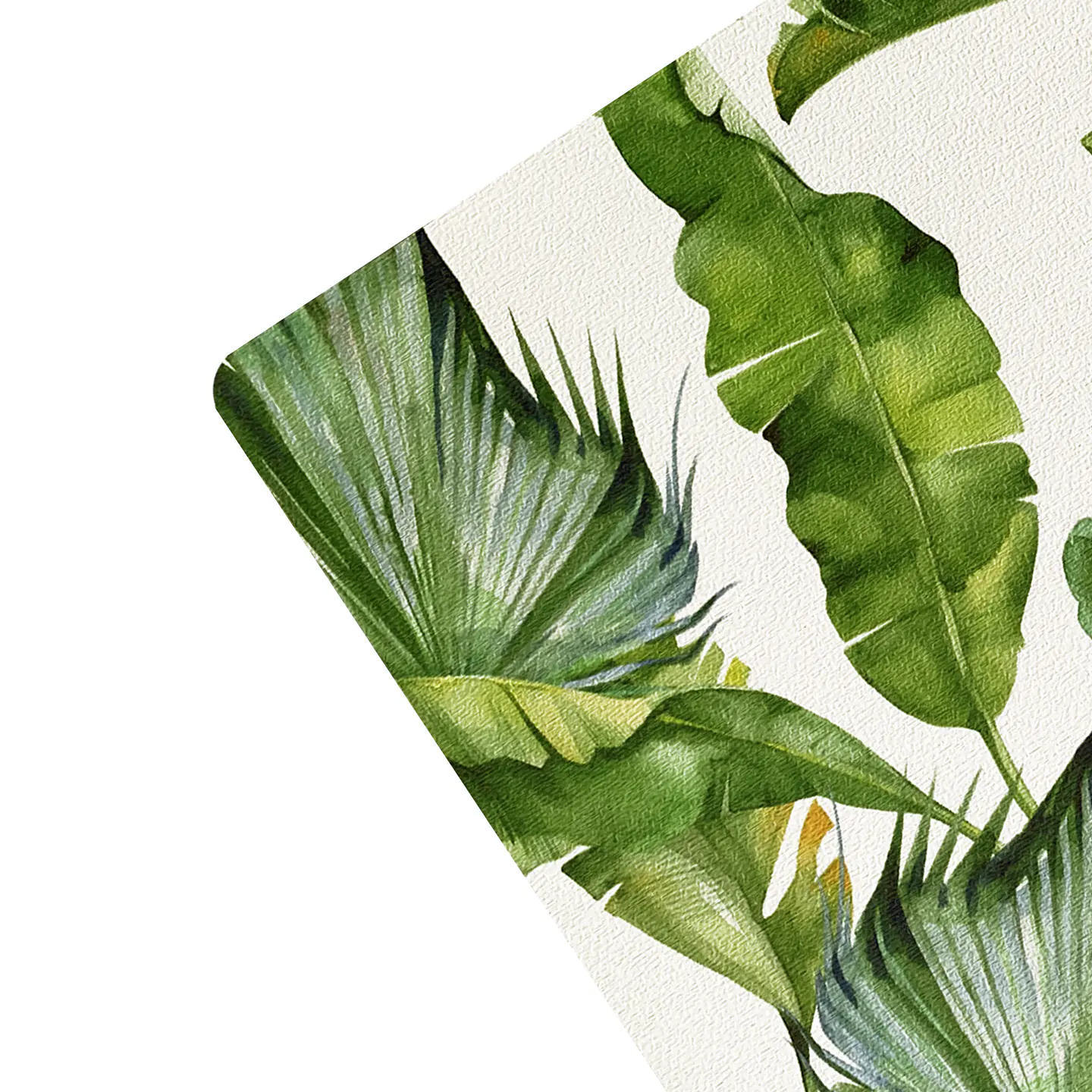 Set 8 Individuales Plantas Rectangular 4