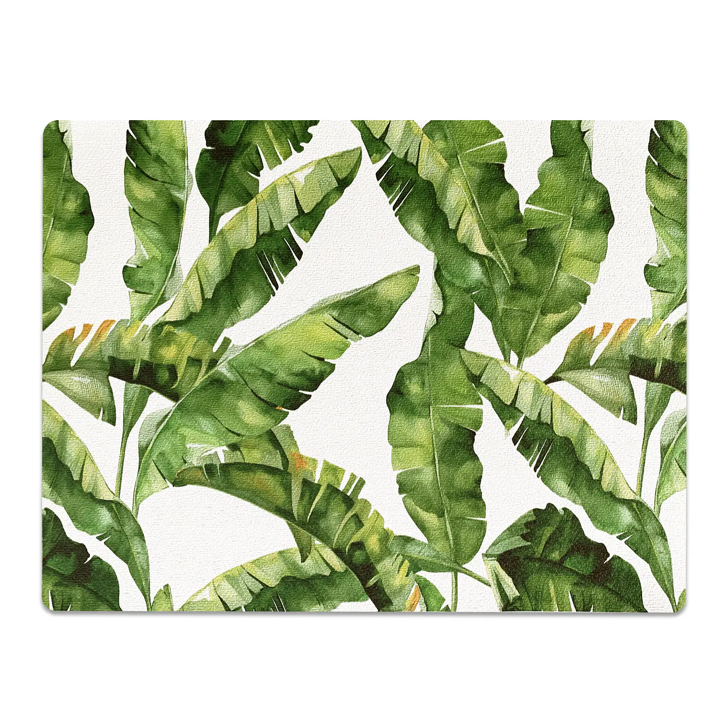 Set 8 Individuales Plantas Rectangular 8