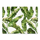 Set 8 Individuales Plantas Rectangular - Miniatura 8