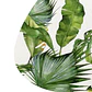 Set 6 Individuales Plantas Stone - Miniatura 4