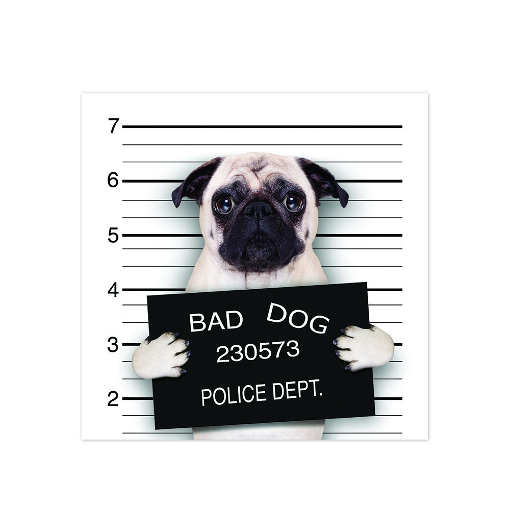 Bad Pug