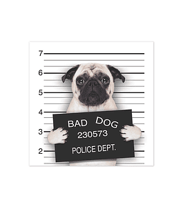 Bad Pug