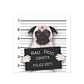 Bad Pug - Miniatura 1
