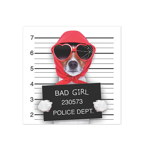 Bad Diva Lady Dog