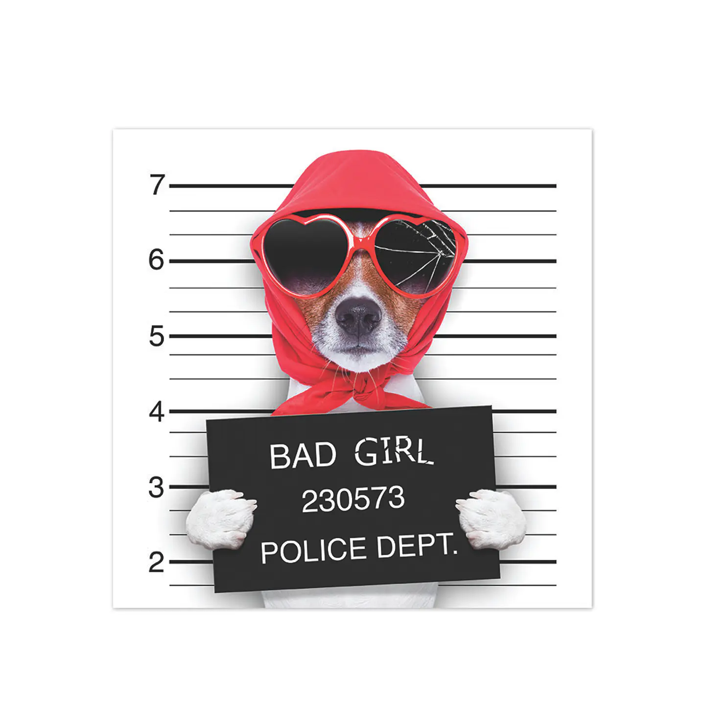Bad Diva Lady Dog 1