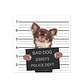 Bad Chihuahua - Miniatura 1
