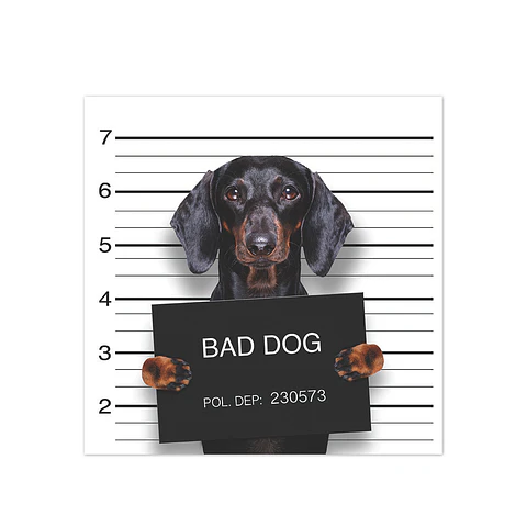 Bad Hot Dog
