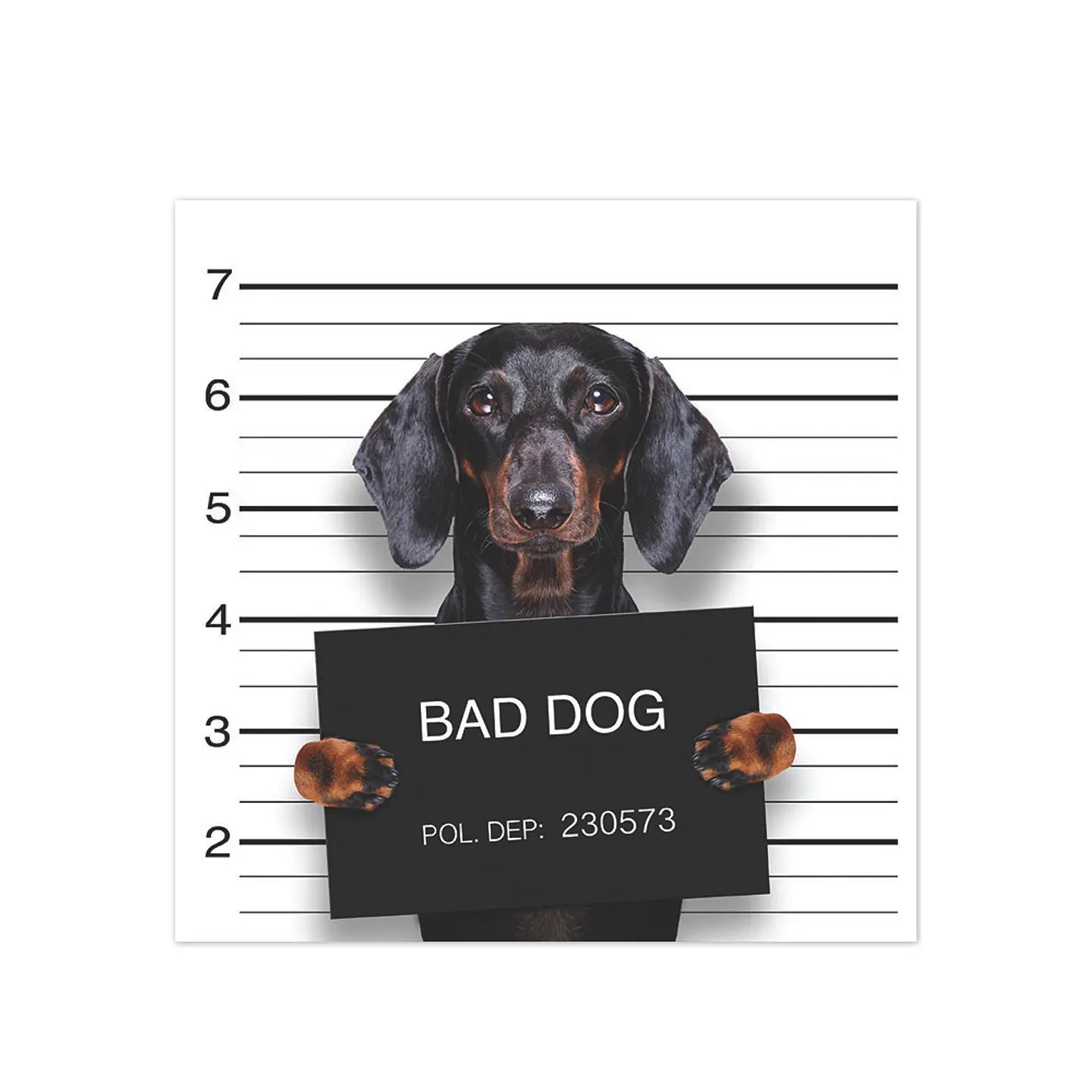 Bad Hot Dog 1
