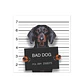 Bad Hot Dog - Miniatura 1