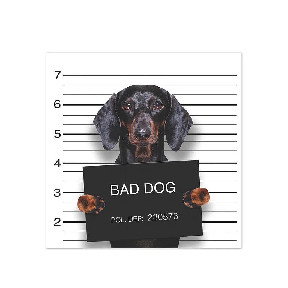 Bad Hot Dog 1