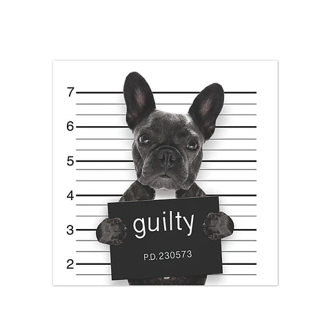 Bad Bulldog Francés