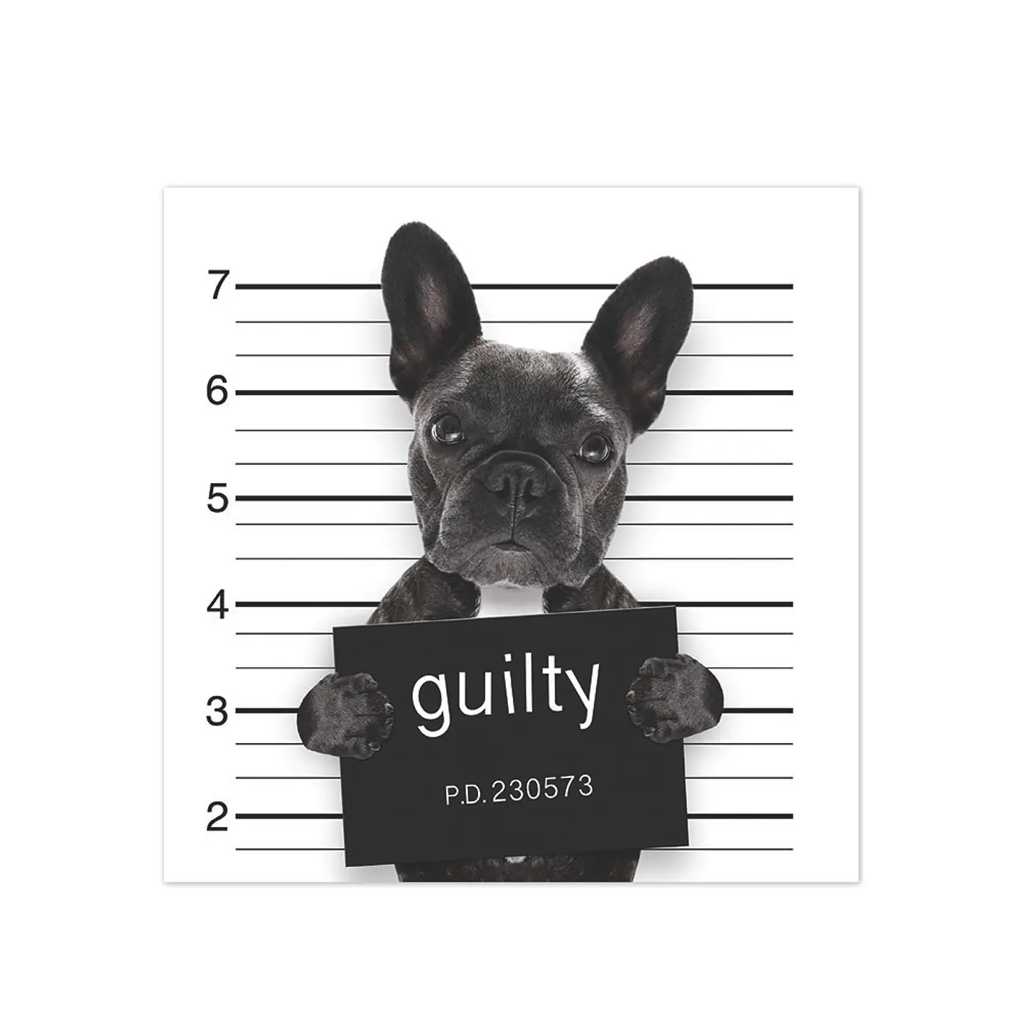 Bad Bulldog Francés 1