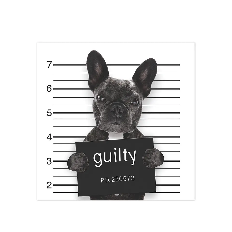 Bad Bulldog Francés 1