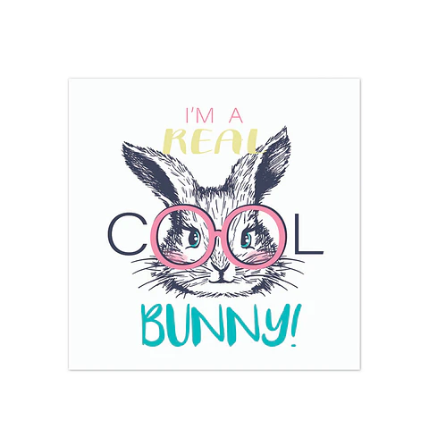 Cool Bunny