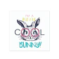 Cool Bunny - Miniatura 1