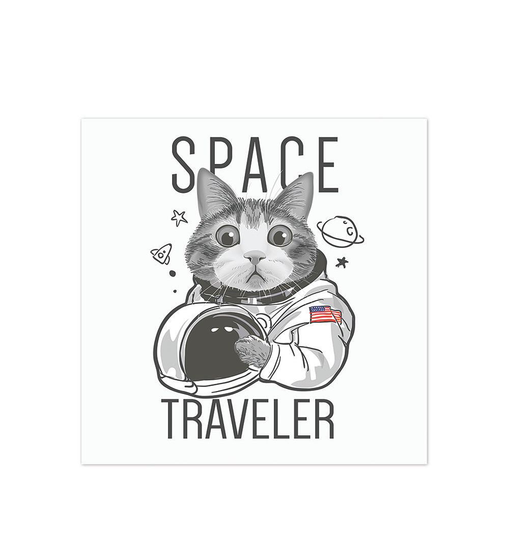 Space Traveler