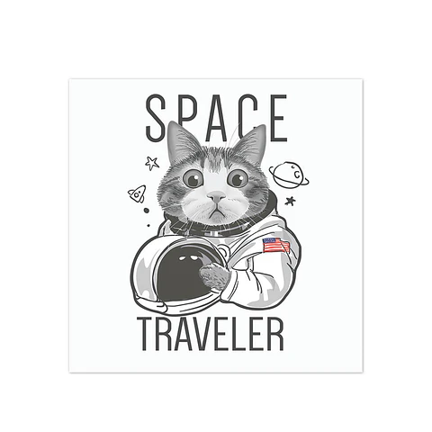 Space Traveler