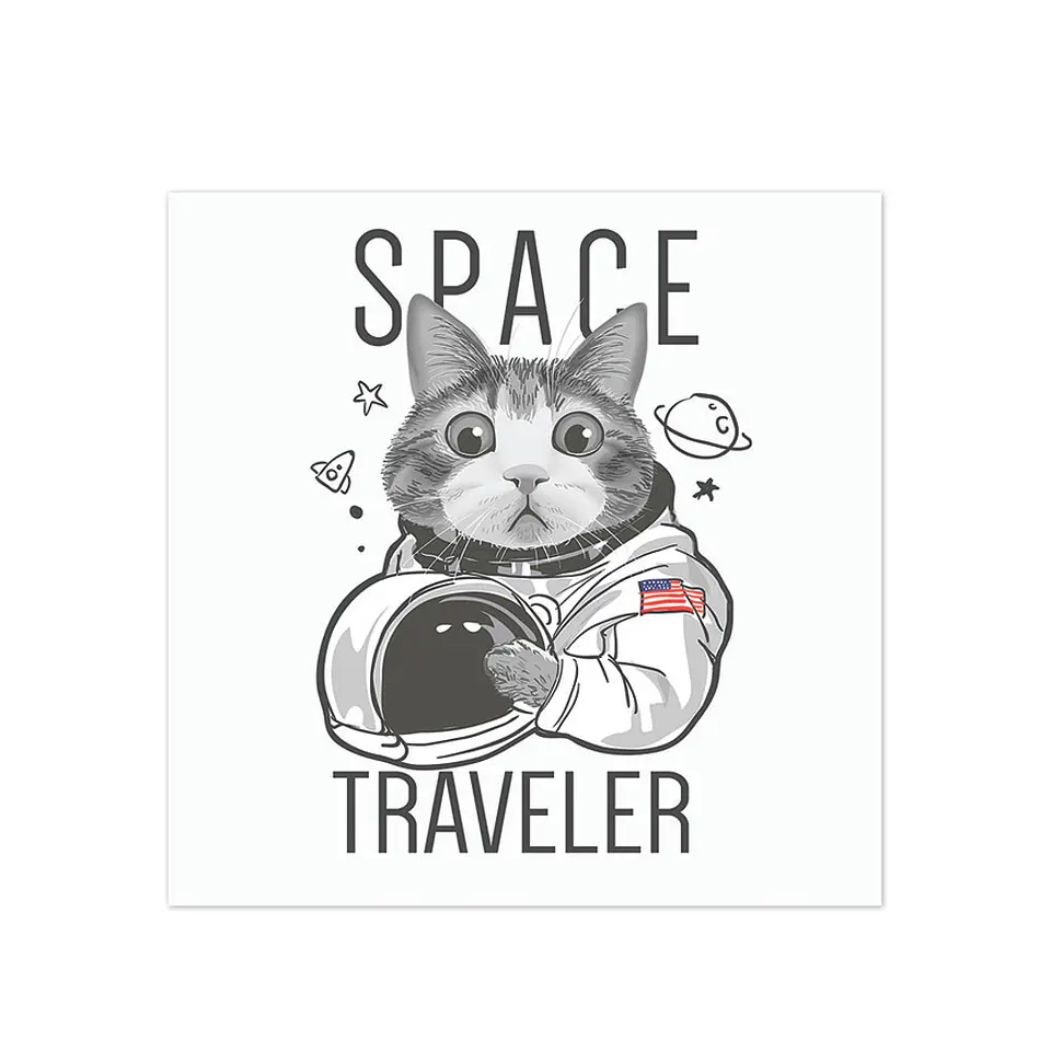 Space Traveler 1