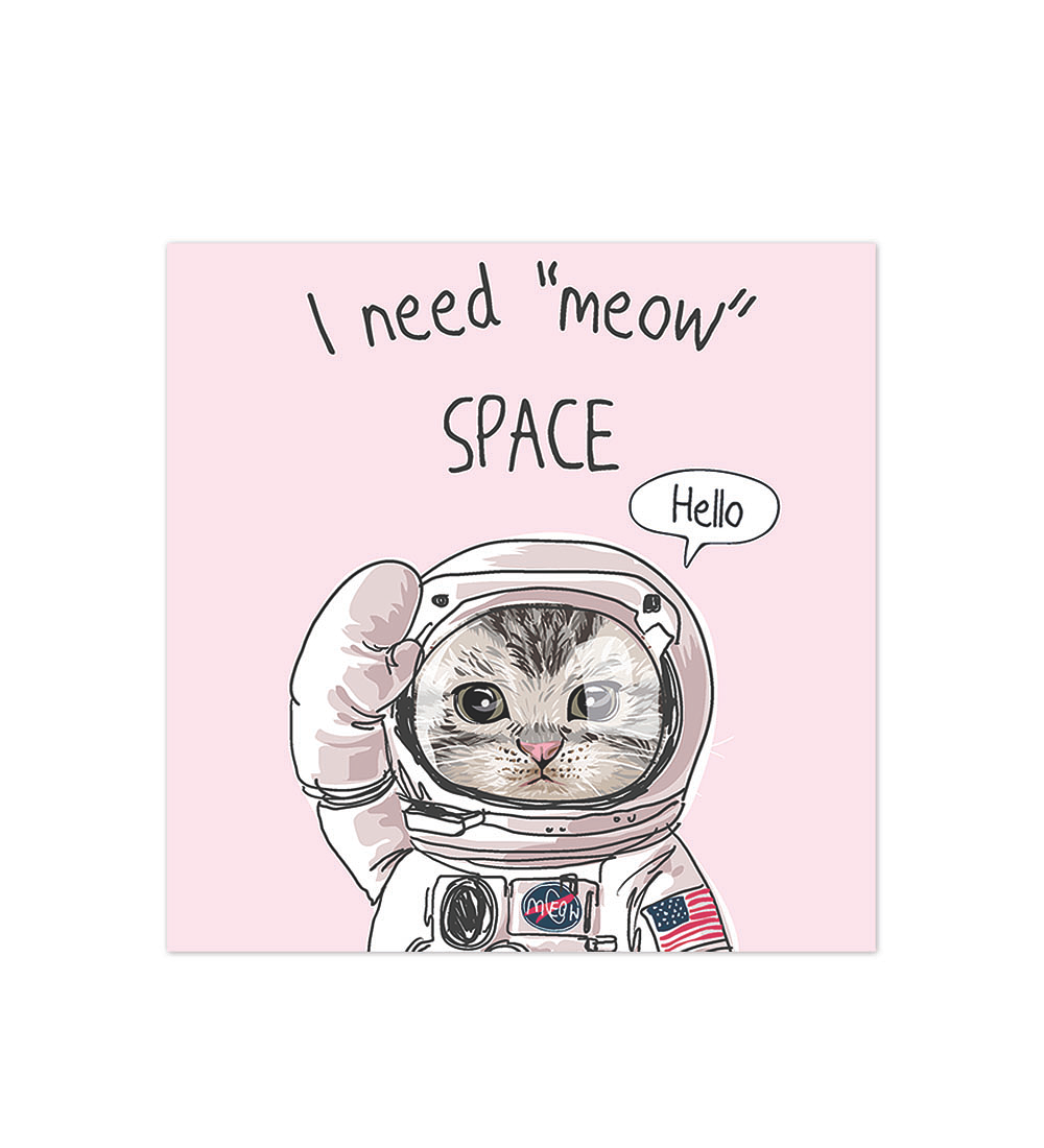 Meow Space