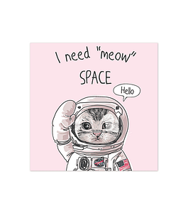 Meow Space
