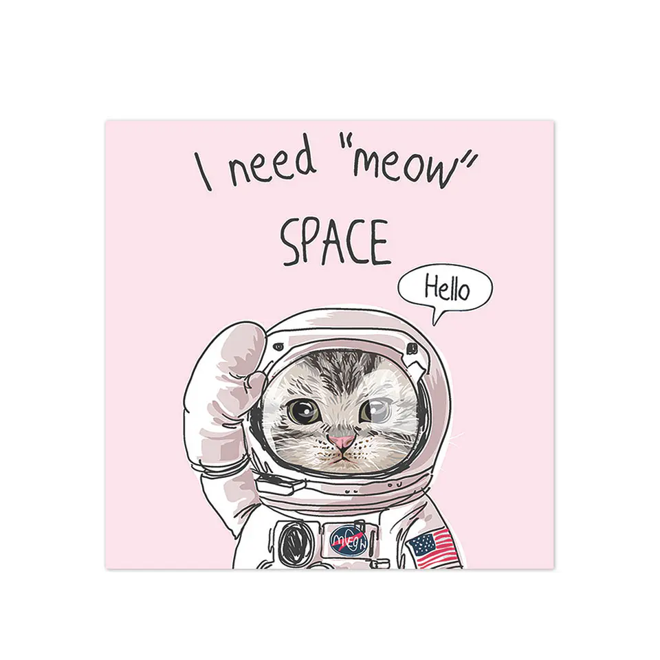 Meow Space 1