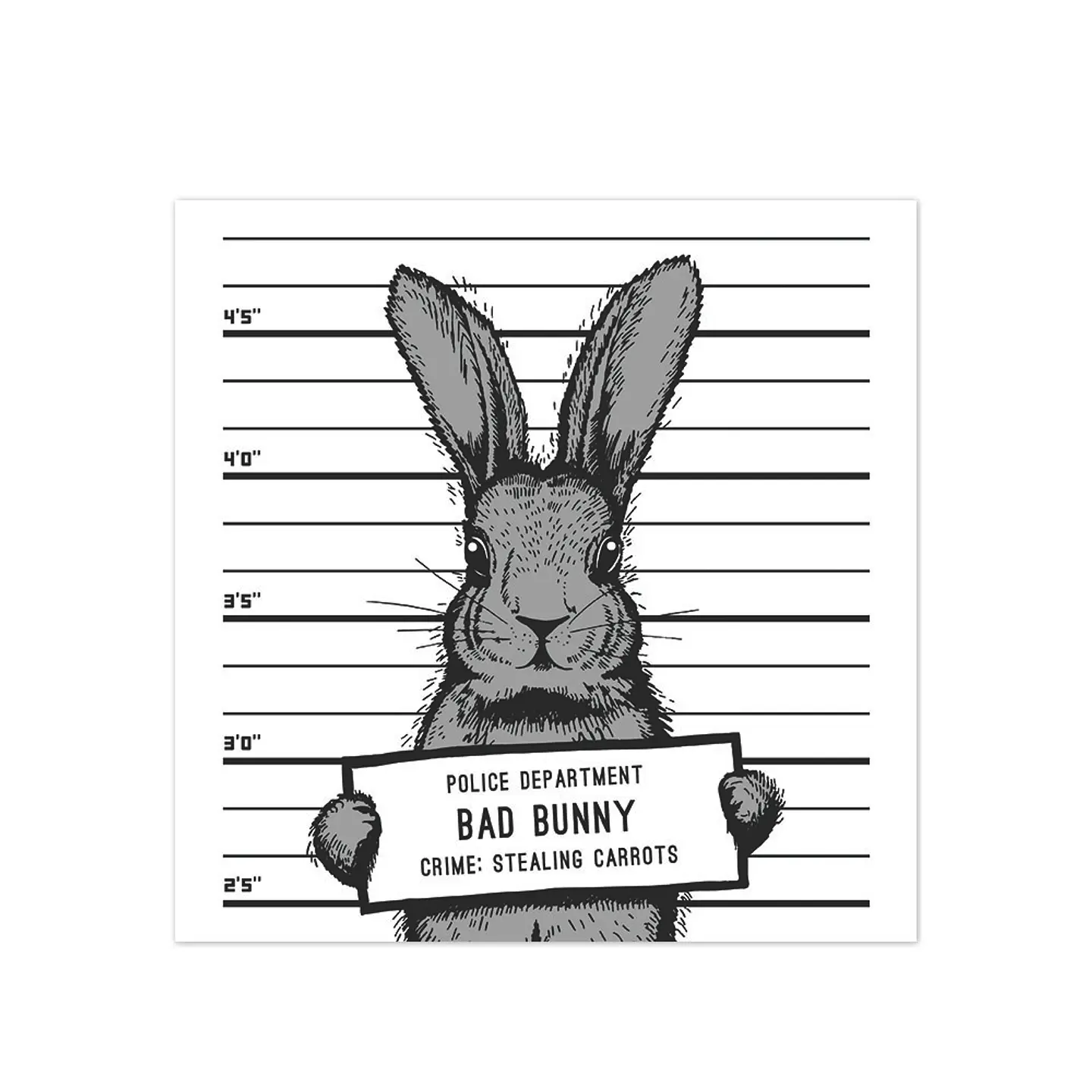 Bad Rabbit 1