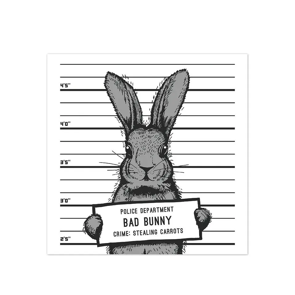 Bad Rabbit 1