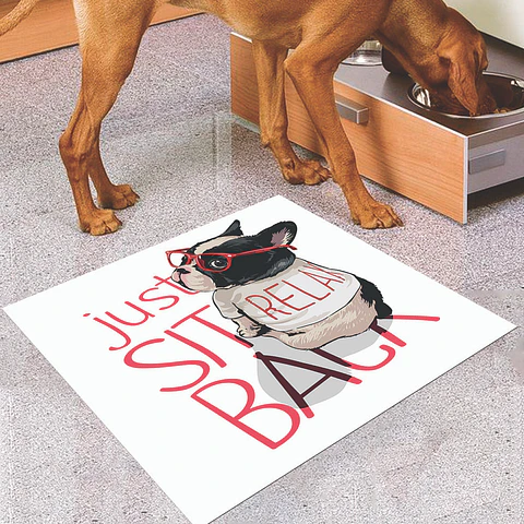 Look Back Dog