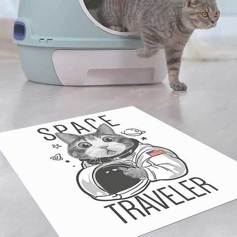 Space Traveler