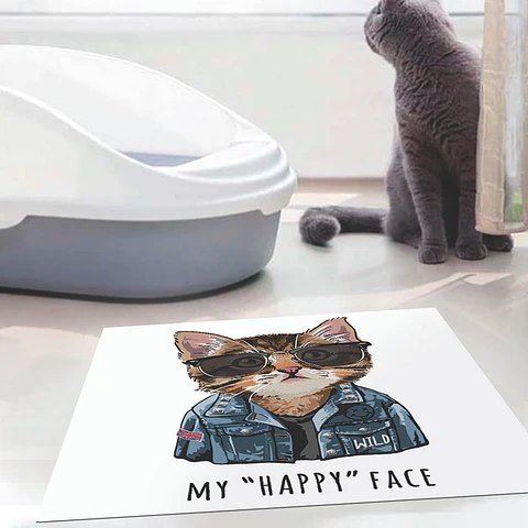 Stylish Cat