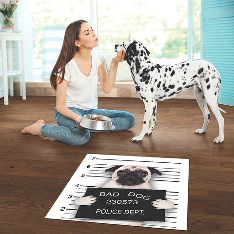 Bad Pug